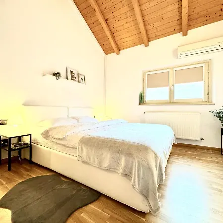 The Loft * 티미쇼아라